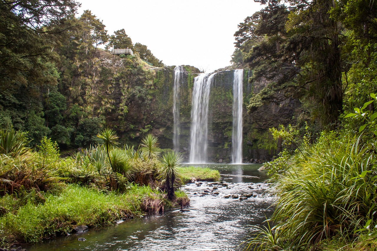 new zealand waterfall whangarei free photo