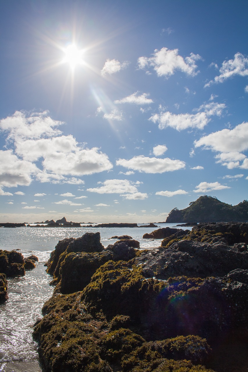 new zealand pacific beach free photo