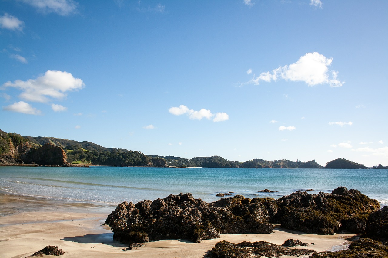 new zealand pacific beach free photo