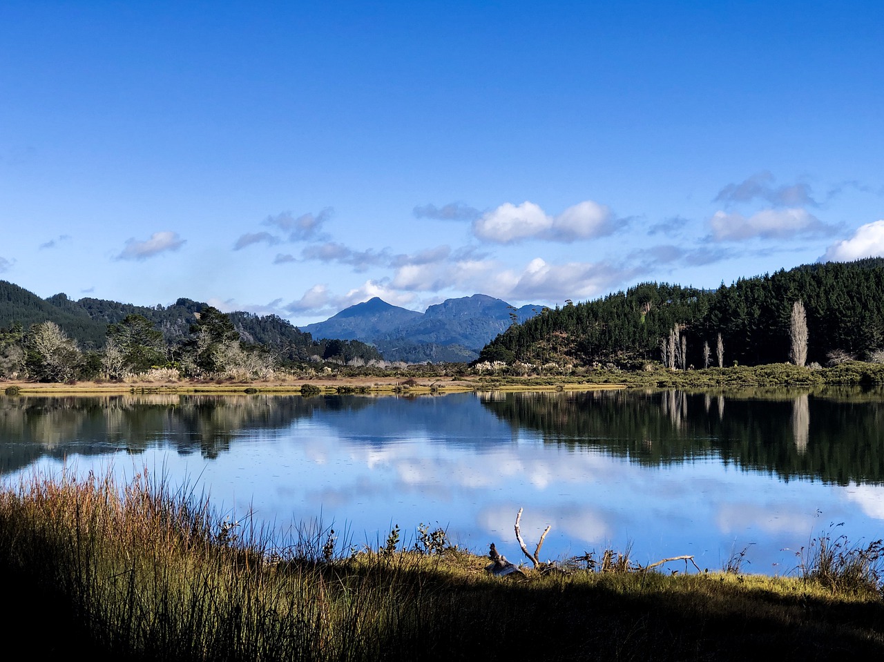 new zealand  pauanui  tairua free photo