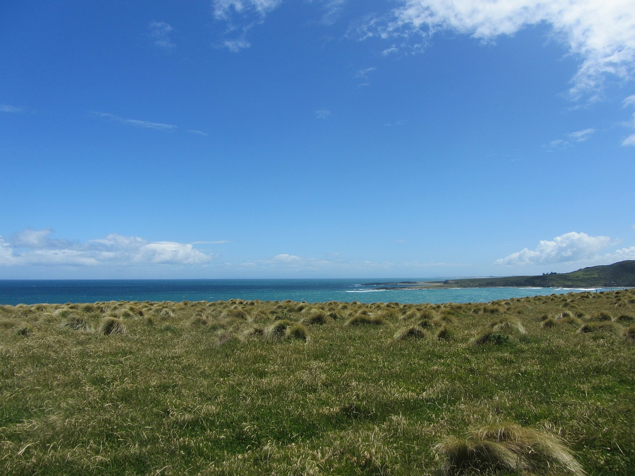 new zealand nature blue free photo