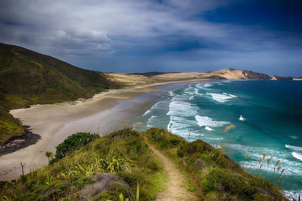 new zealand hiking beach free photo