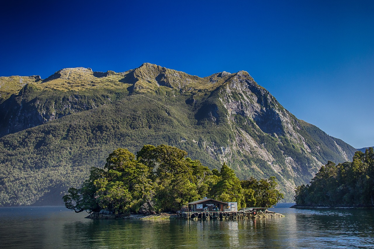 new zealand doubtful sound fjord free photo