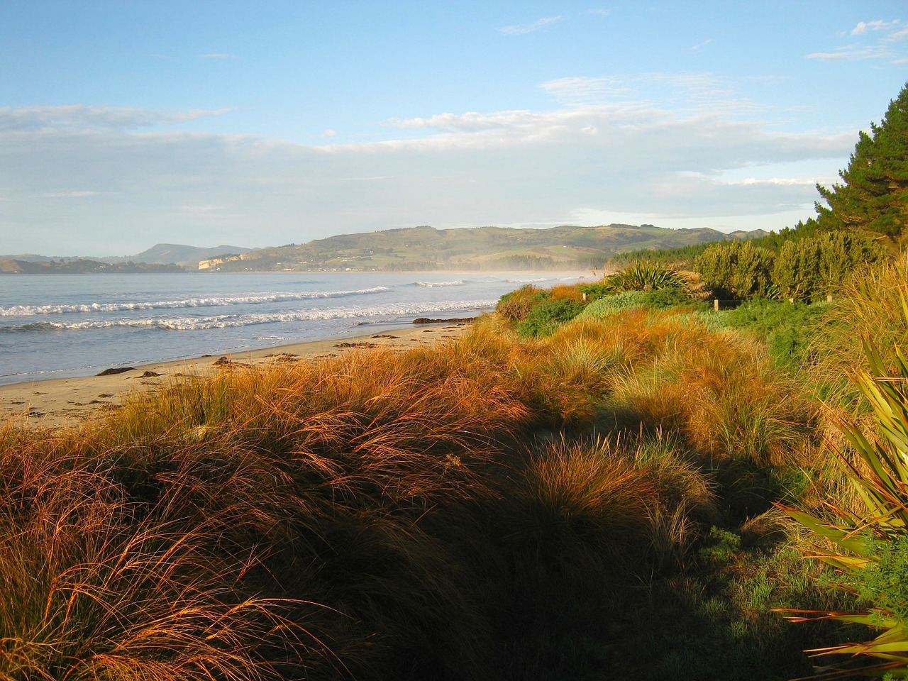 new zealand sea ocean free photo