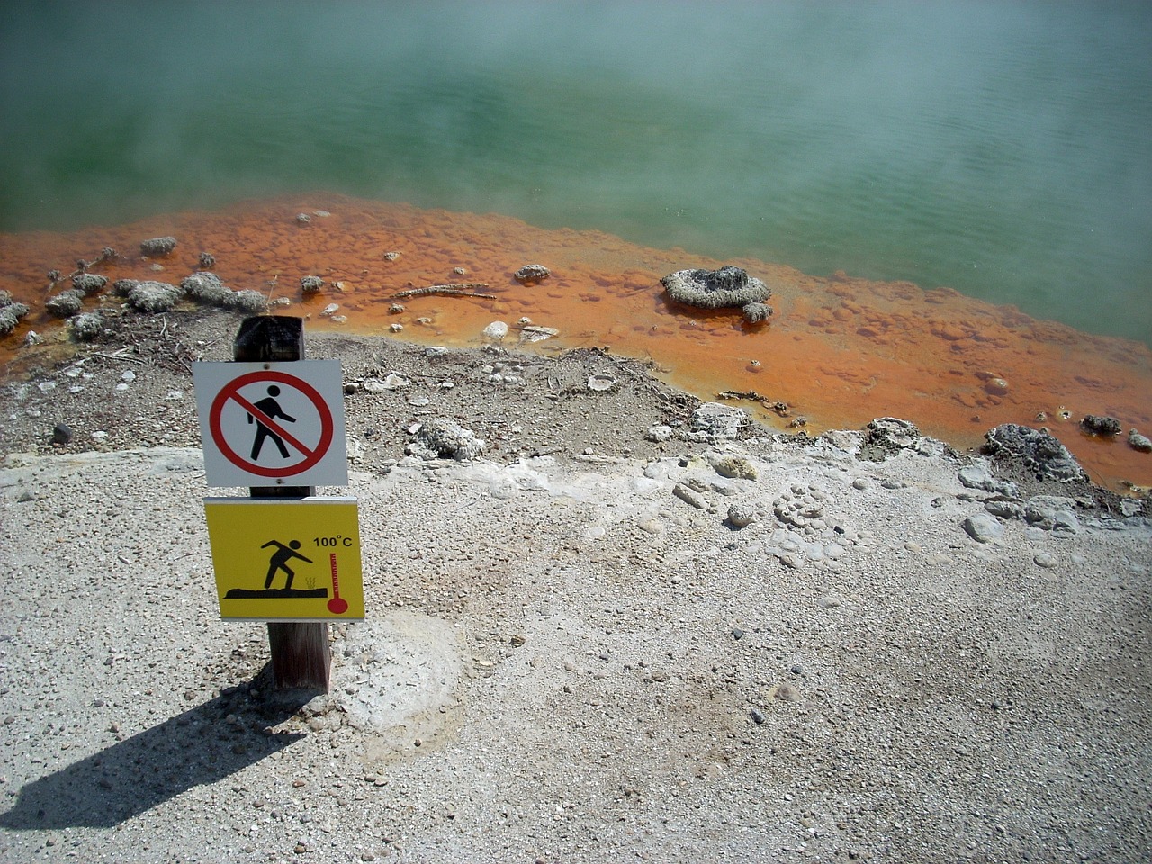 new zealand rotorua thermal wonderland free photo