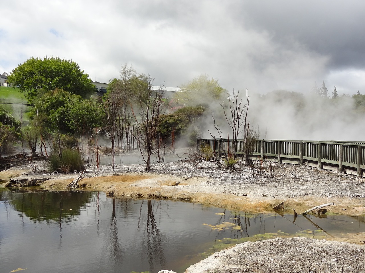 new zealand hot source nature free photo