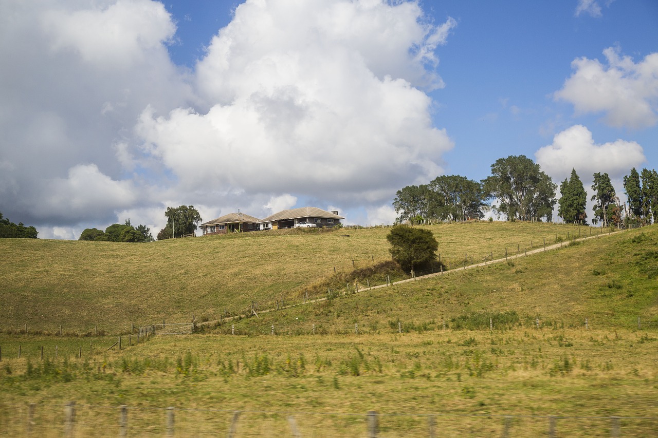 new zealand farm grassland free photo