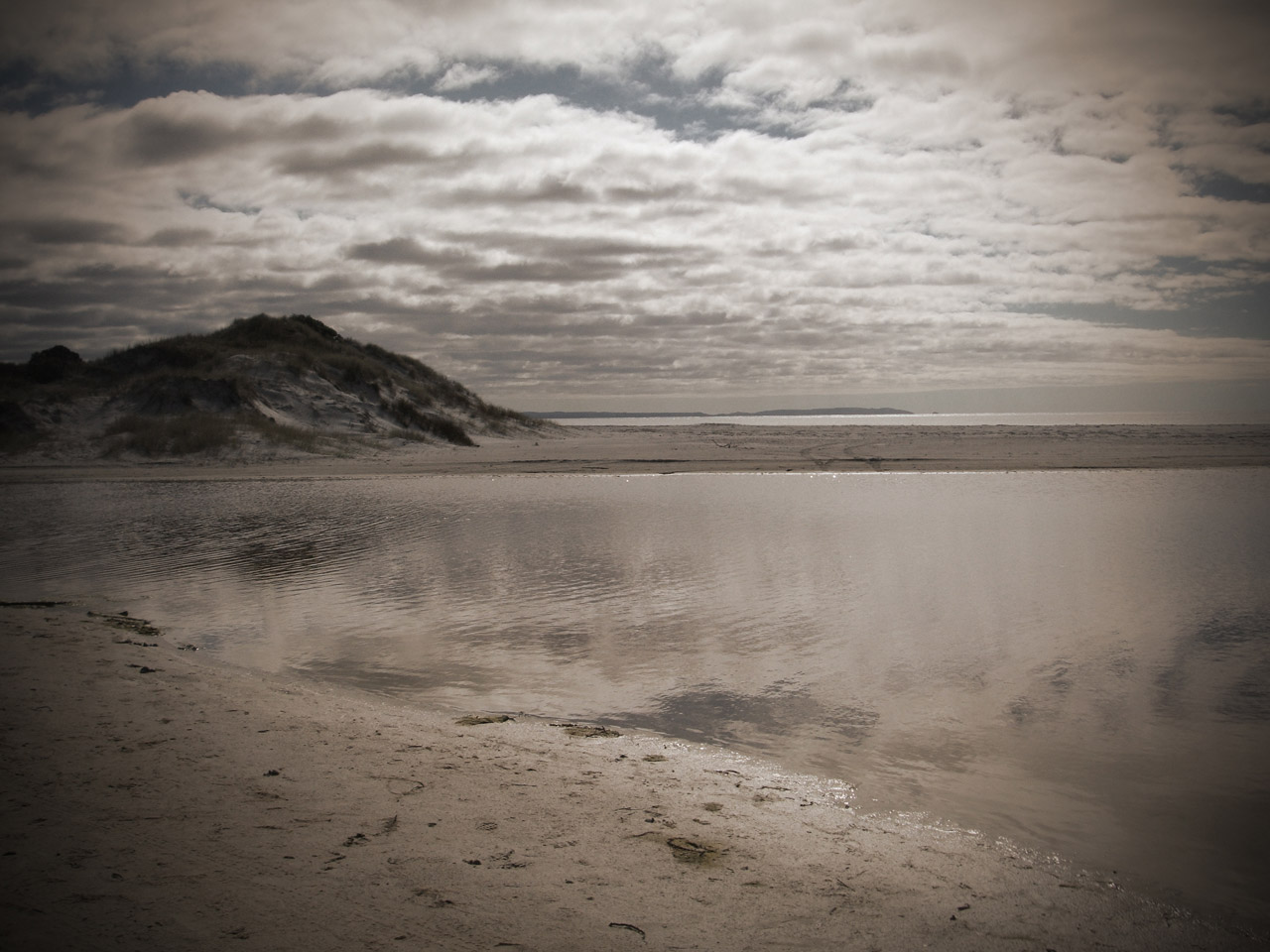 new zealand beach free photo