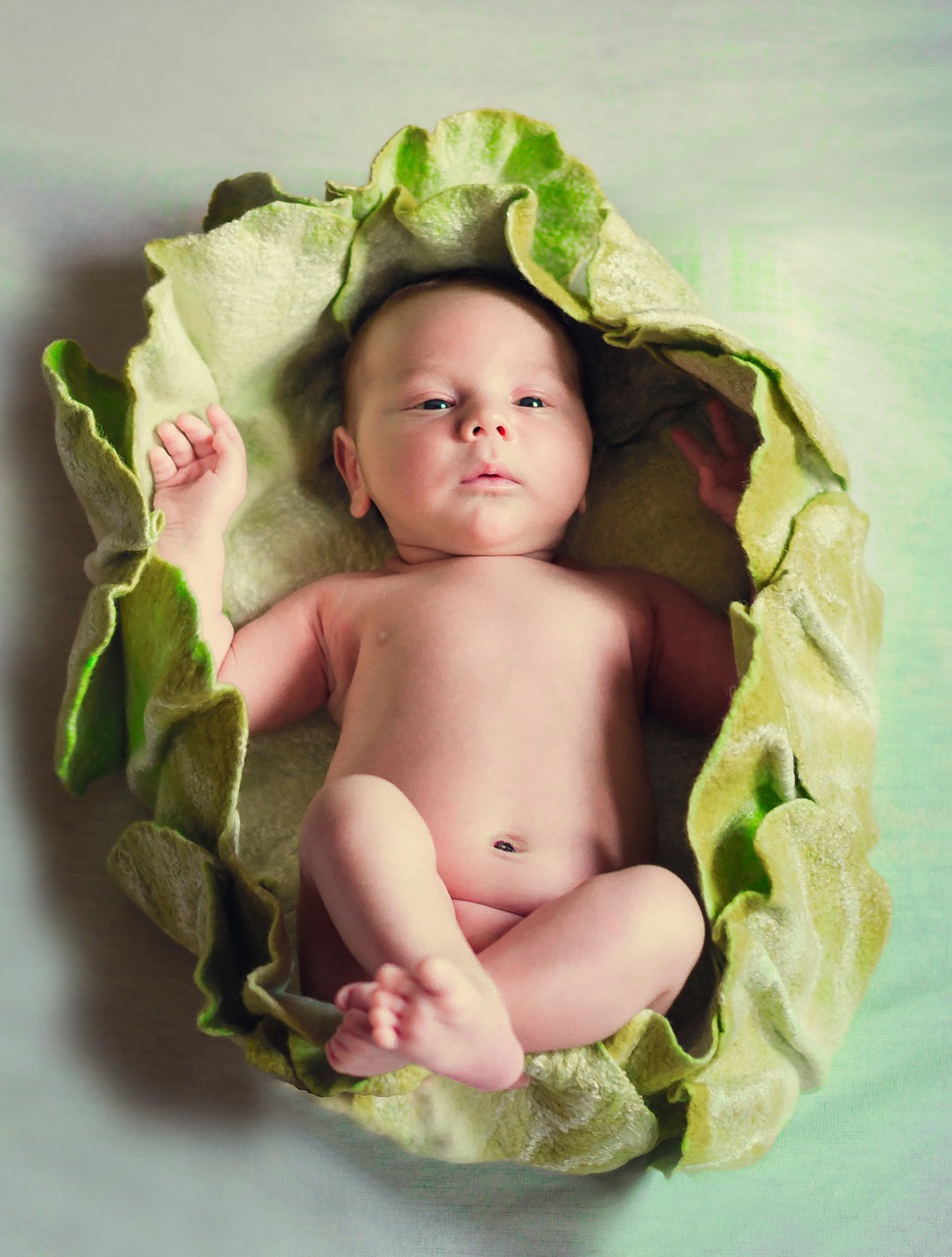 newborn kid baby free photo