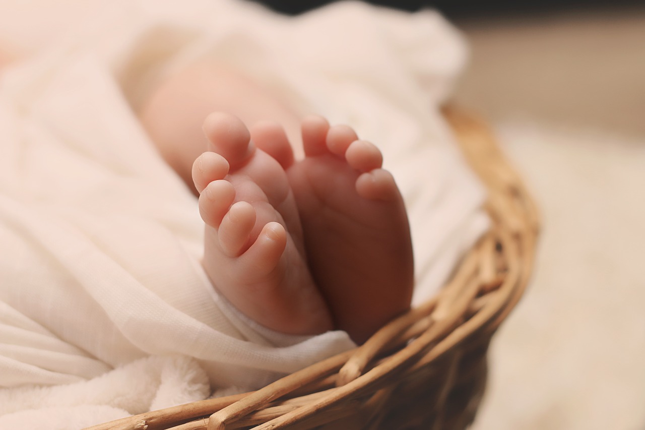 newborn baby feet free photo