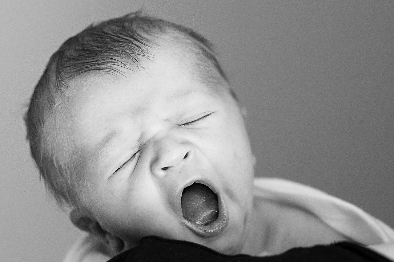 newborn yawning early days free photo