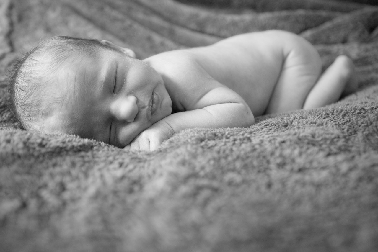 newborn baby infant free photo
