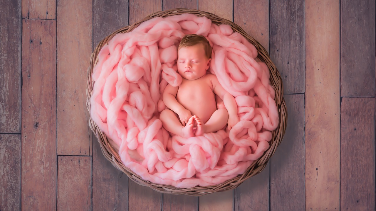 newborn baby child free photo