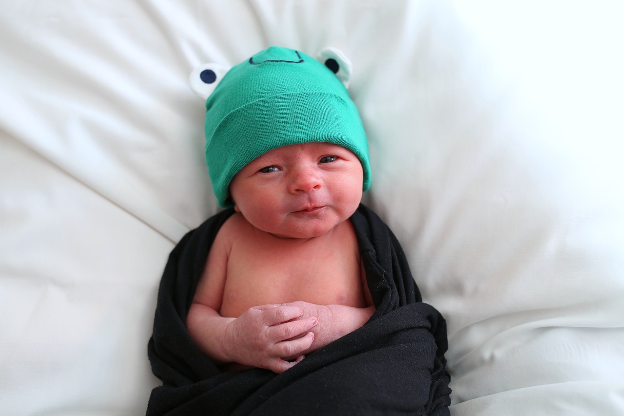 newborn  frog  green free photo