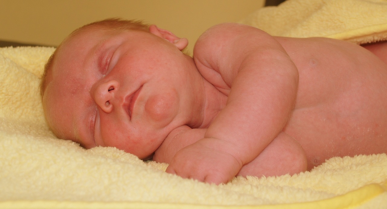 newborn baby sleep free photo