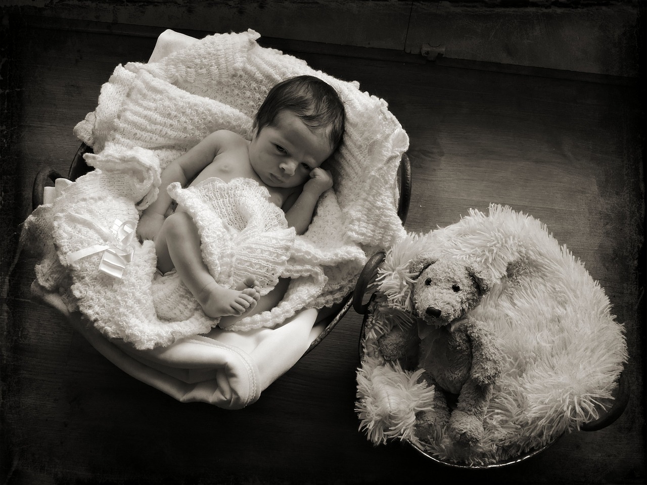 newborn baby on board infant free photo