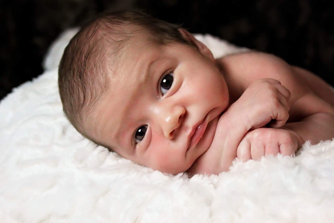 newborn baby infant cute free photo