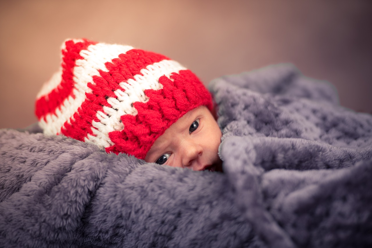 newborn photography baby kid free photo