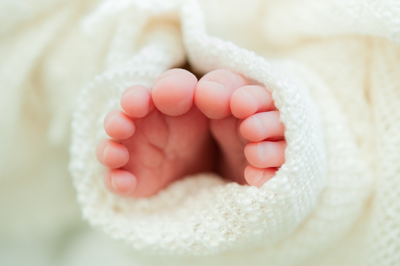 newborn toes white blanket close up free photo