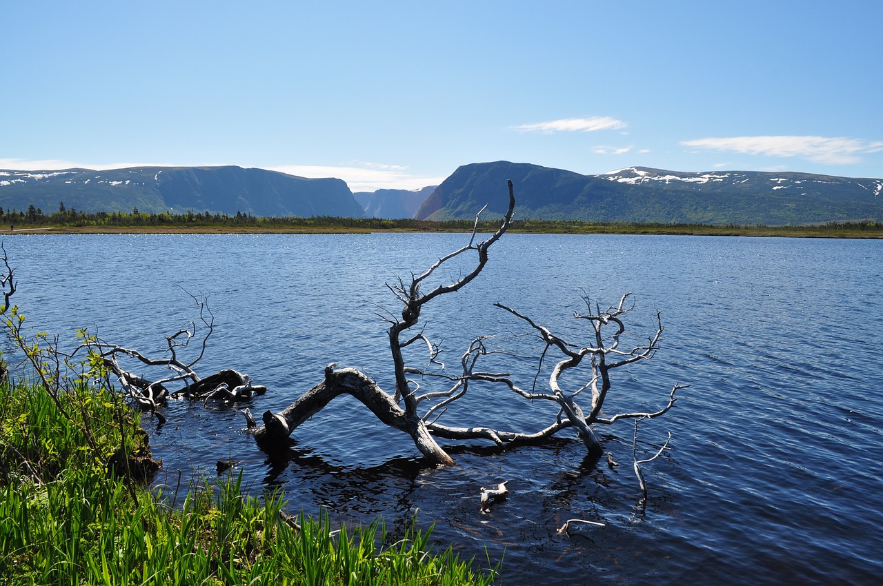 newfoundland fjord canada free photo