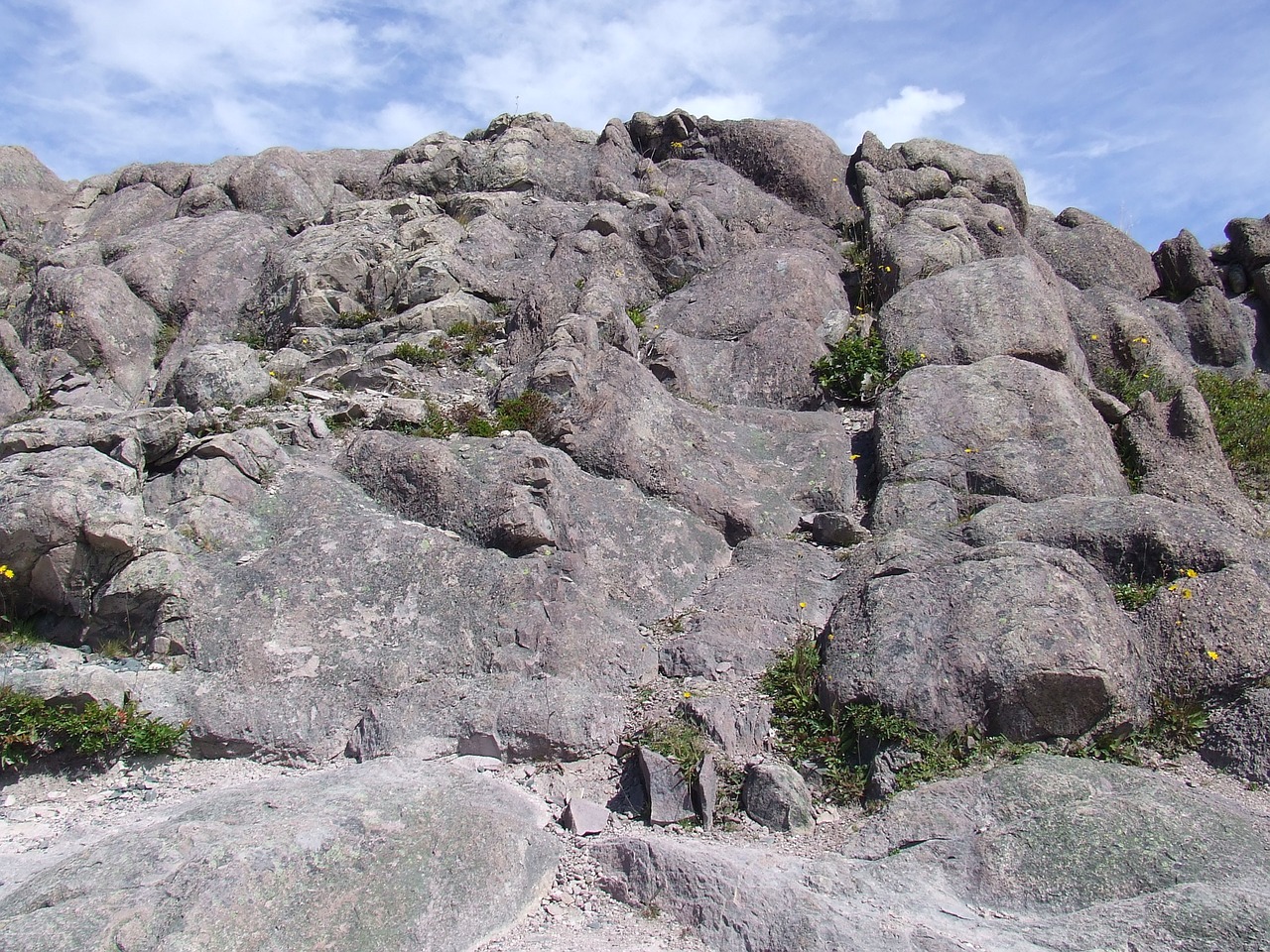 newfoundland rocks rugged free photo