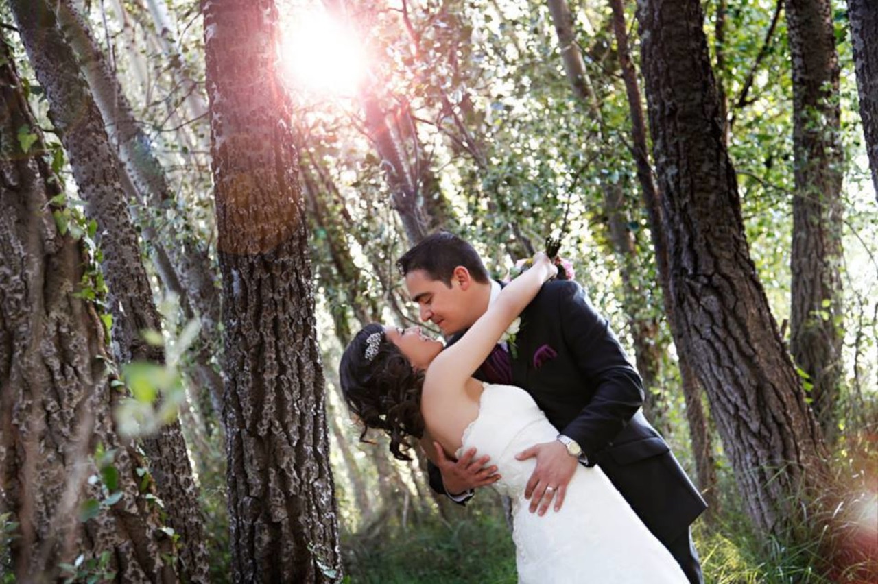 newly married happy forest free photo