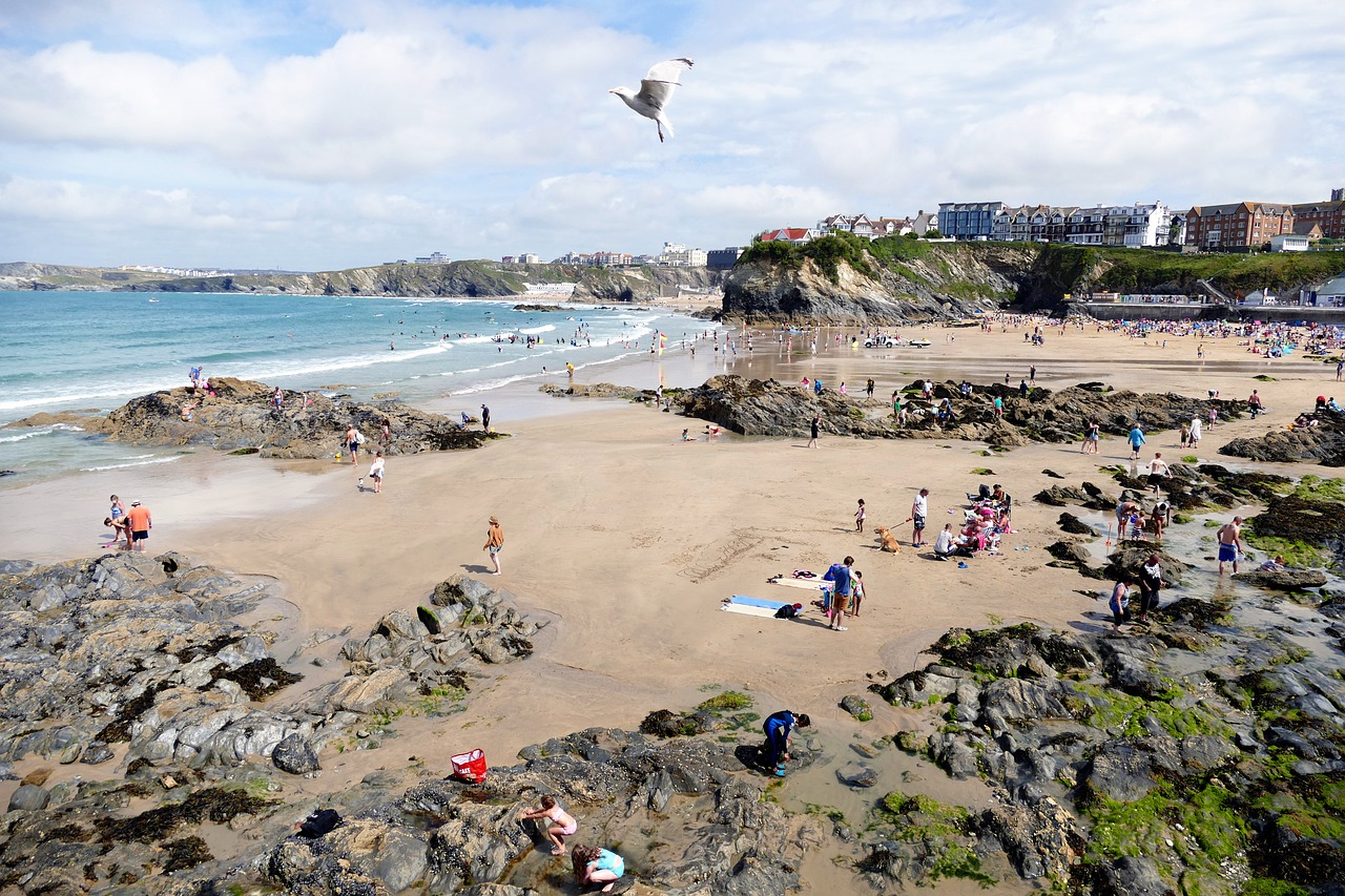 newquay cornwall england free photo