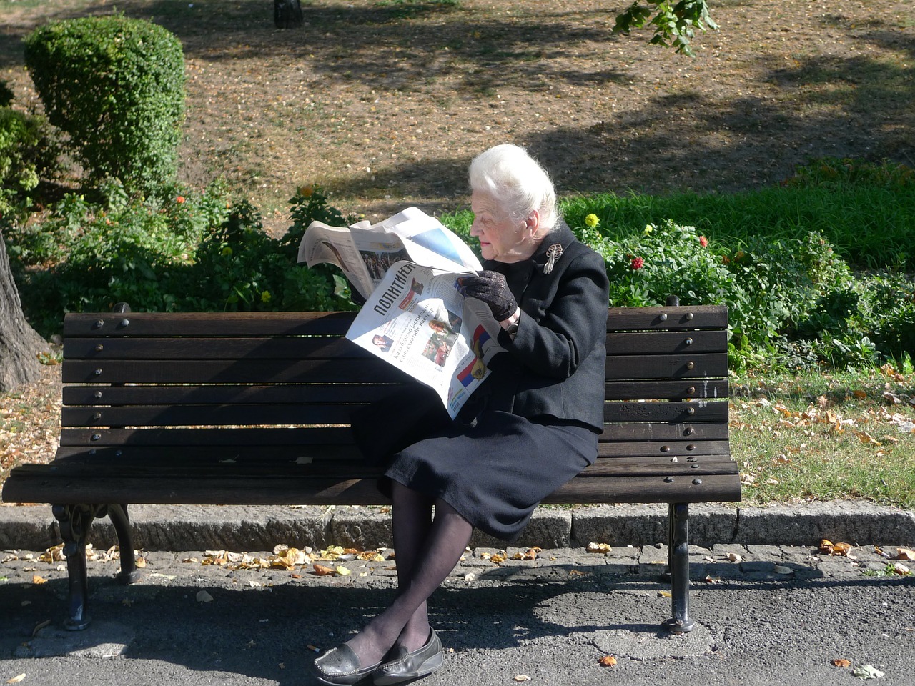 newspaper read inform free photo