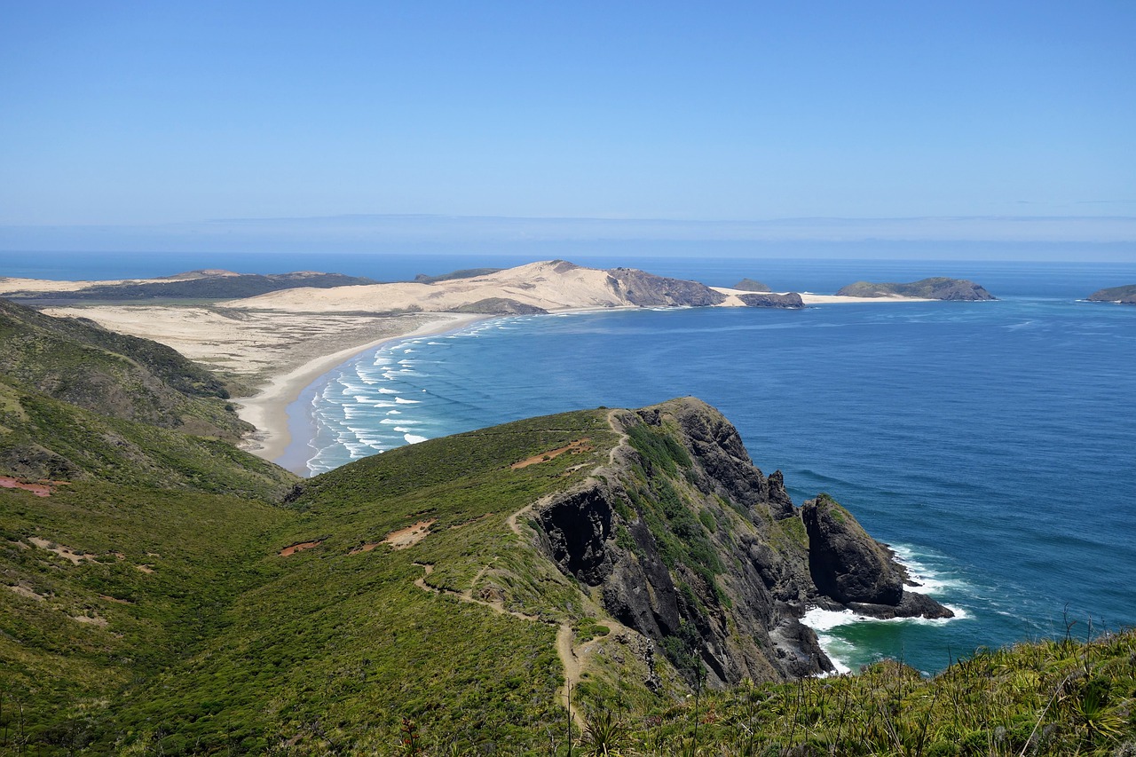 newzealand  beach  sea free photo