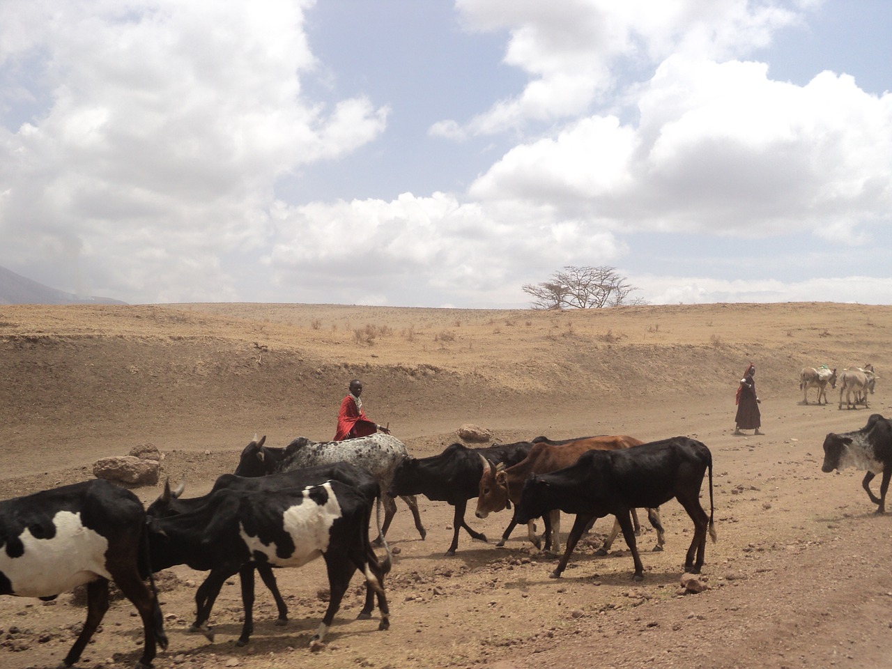 ngorongoro tanzania masai free photo