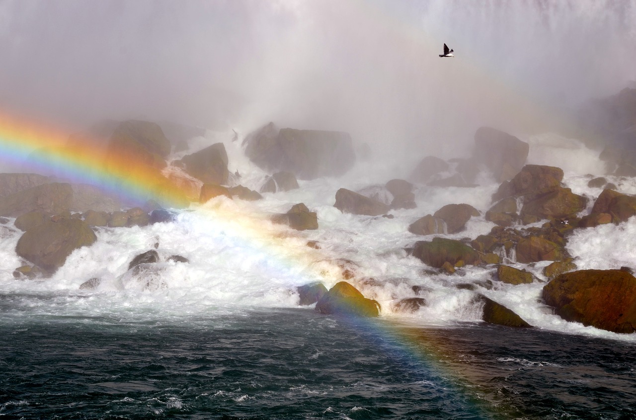 niagara rainbow water free photo