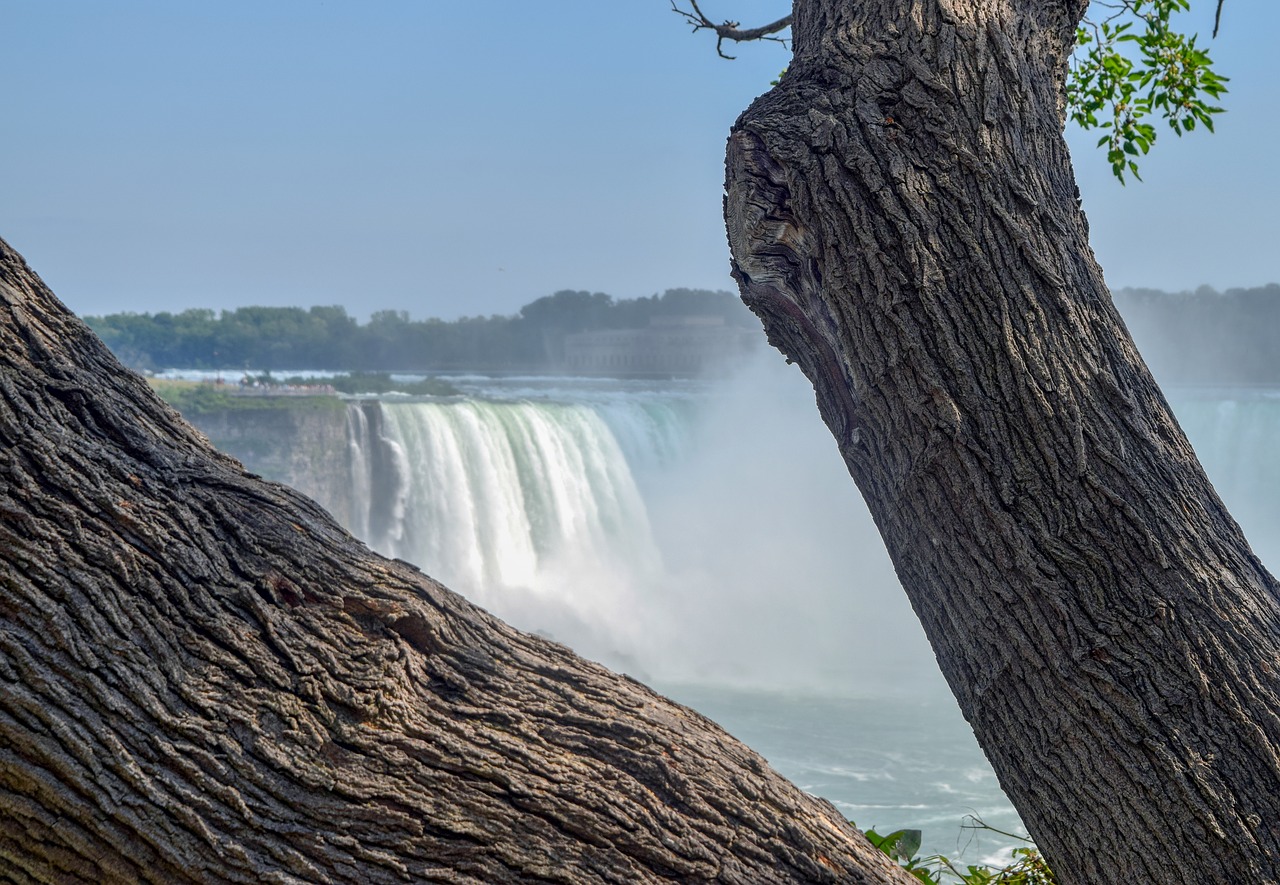 niagara falls  water  waterfall free photo