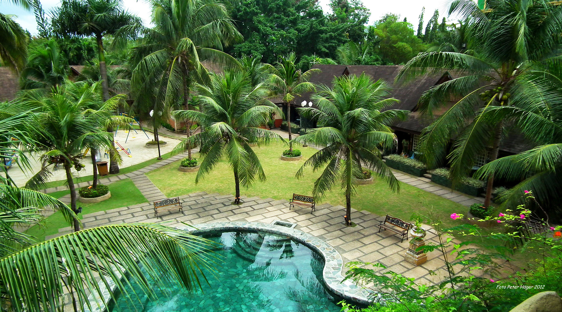 pool resorts tropics free photo