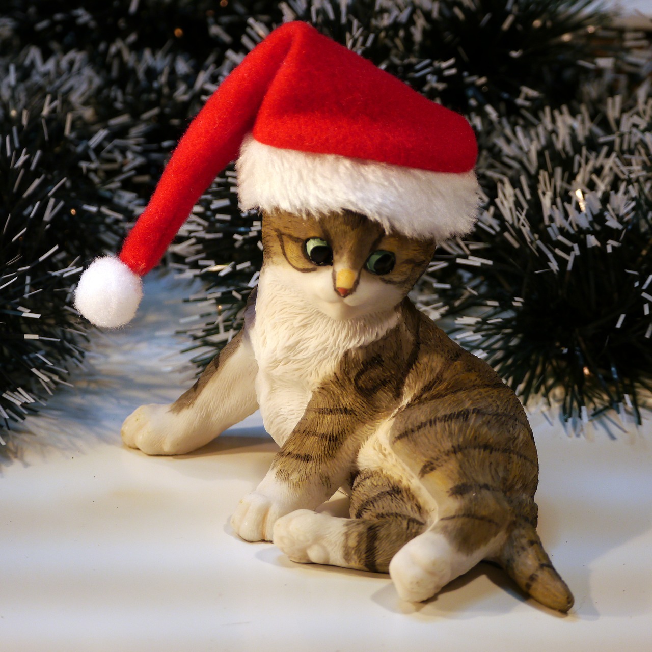 nicholas christmas cat free photo