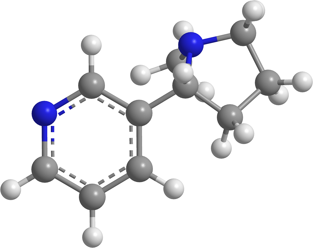 nicotine molecule chemistry organic chemistry free photo
