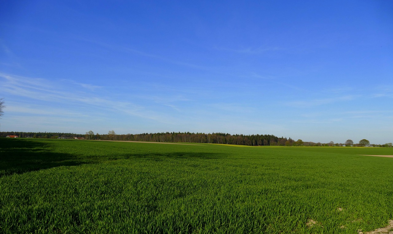 niederrhein landscape reported free photo