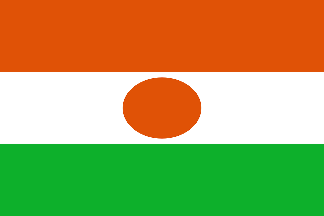 niger flag national flag free photo