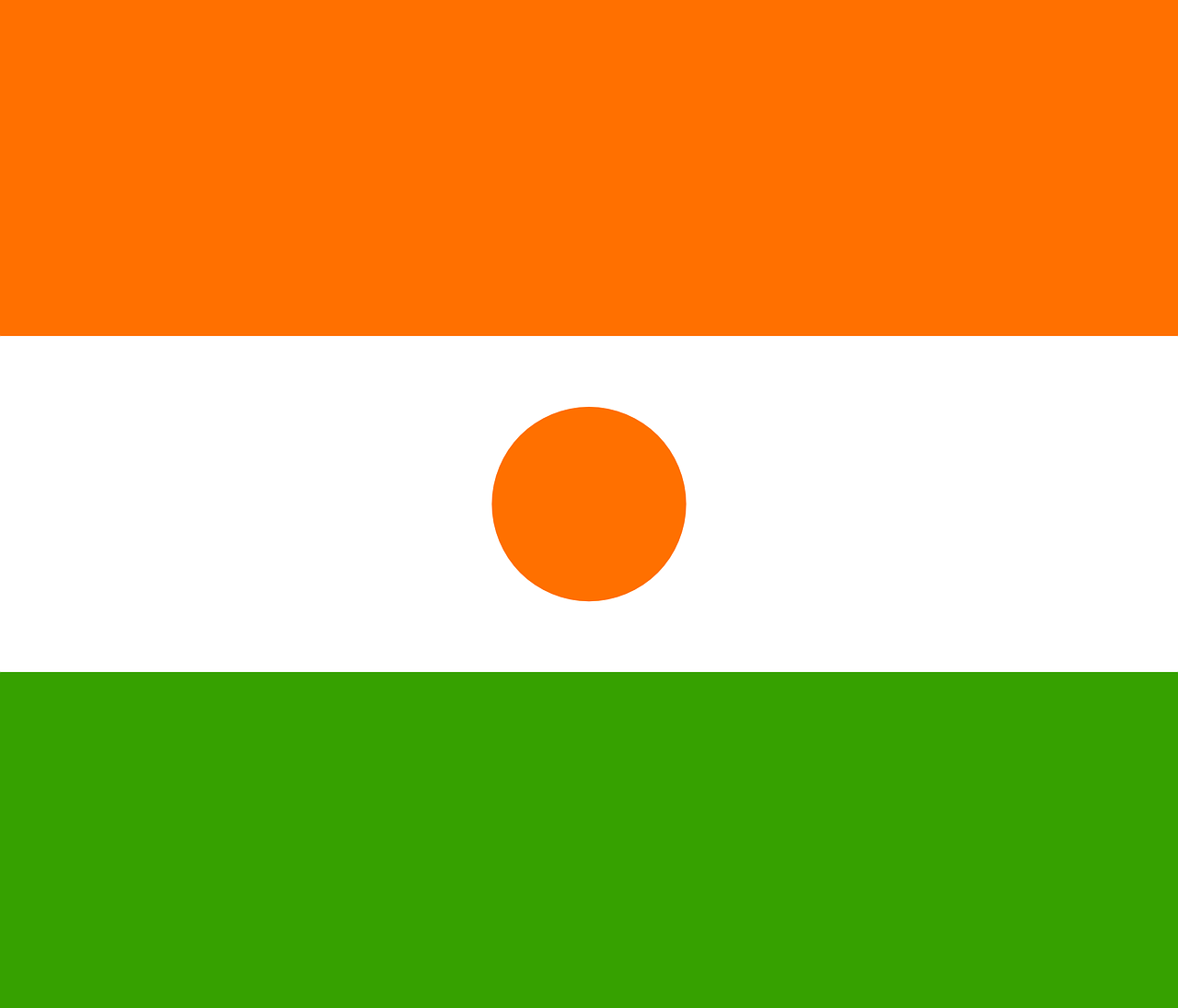niger flag national free photo