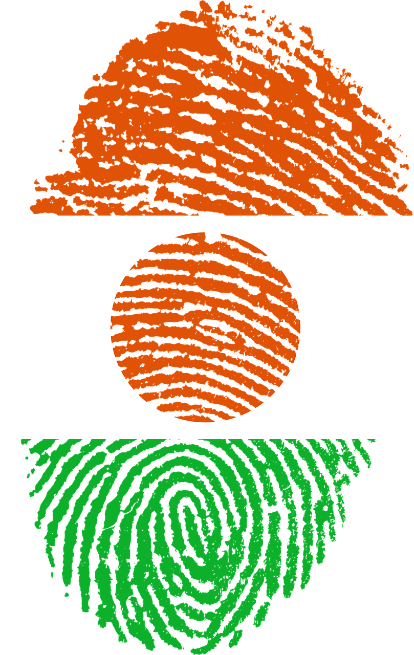 niger flag fingerprint free photo