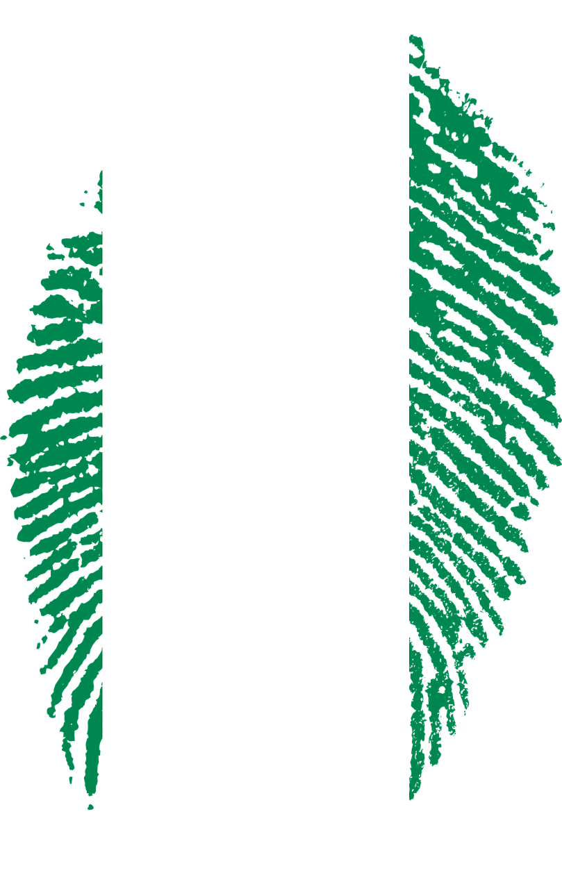 nigeria flag fingerprint free photo