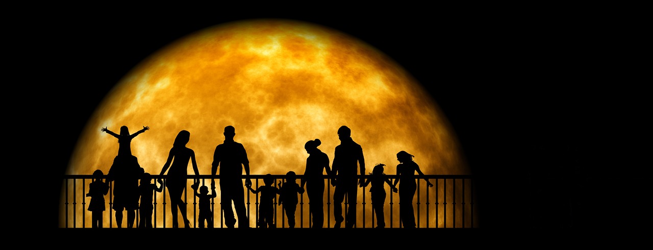 night moon silhouettes free photo