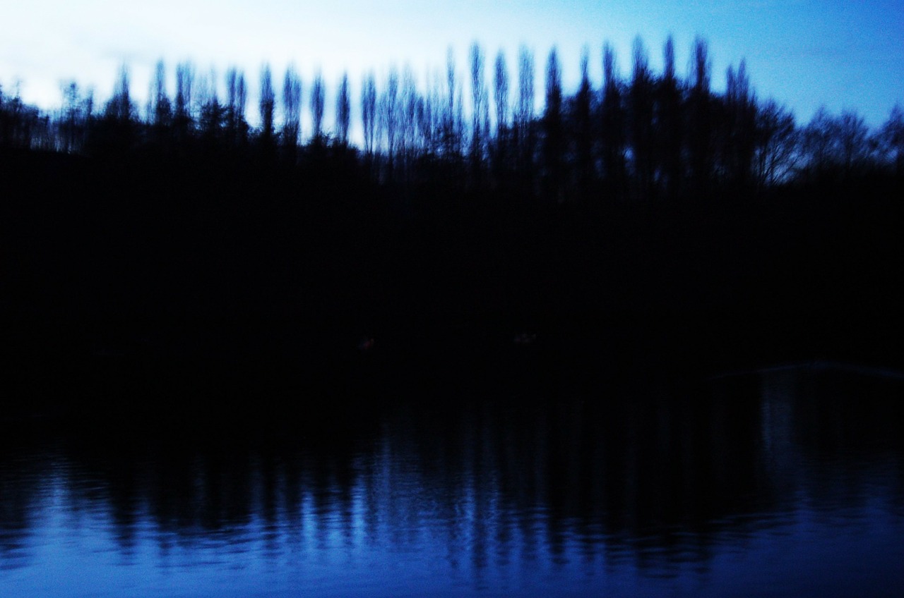 night pond trees free photo