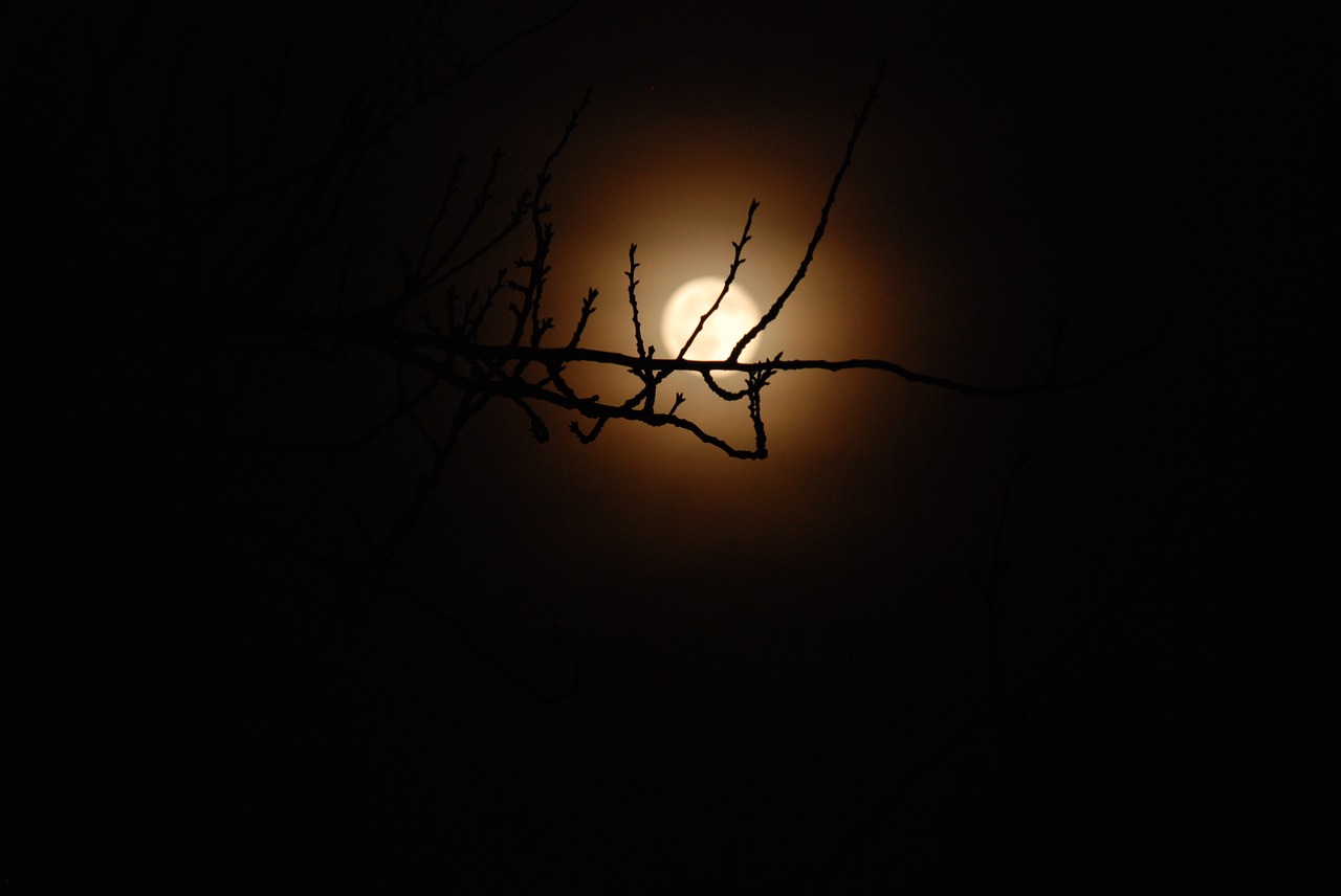 night moon dark free photo