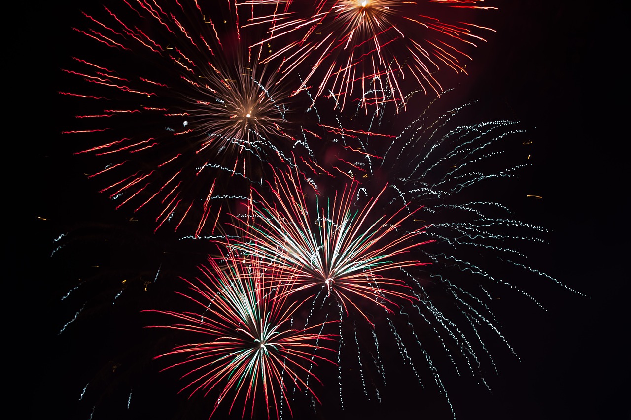 night fireworks show free photo