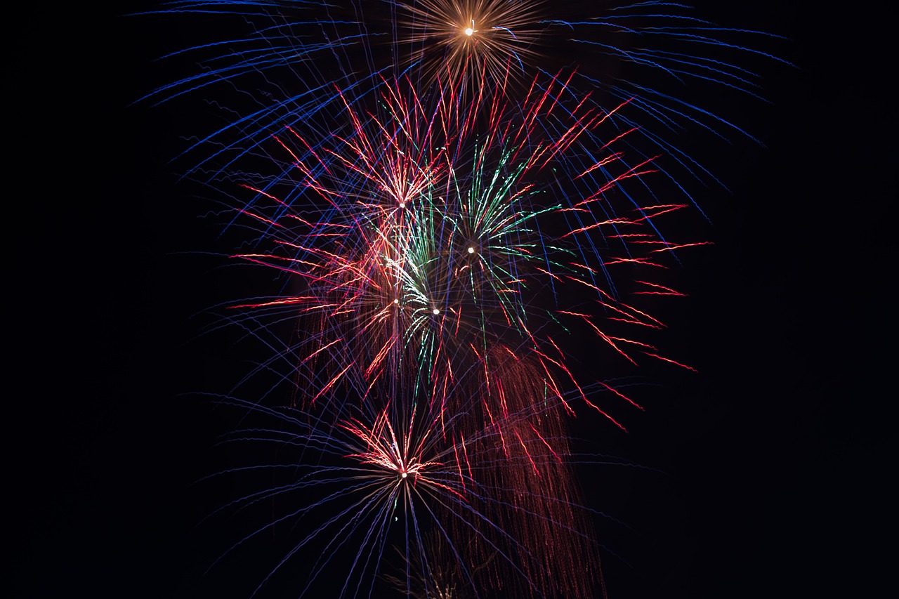 night fireworks show free photo