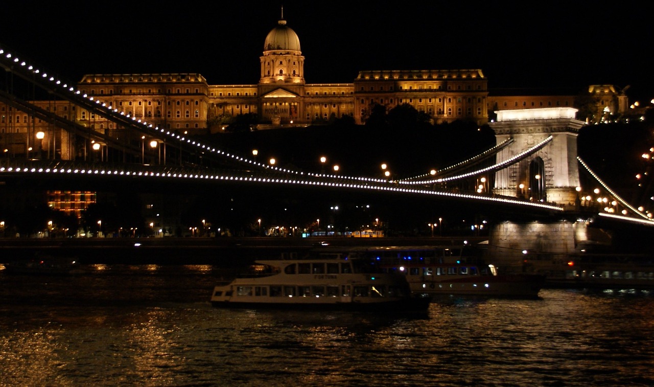 night bridge city free photo