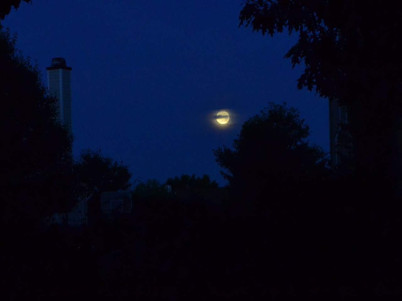 night moon setting moon free photo