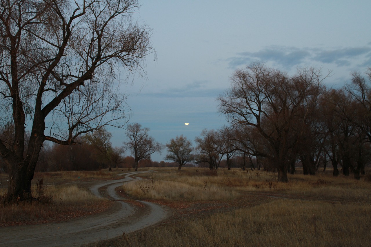 night road moon free photo