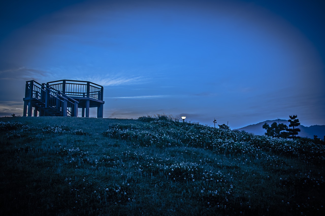 night park japan free photo