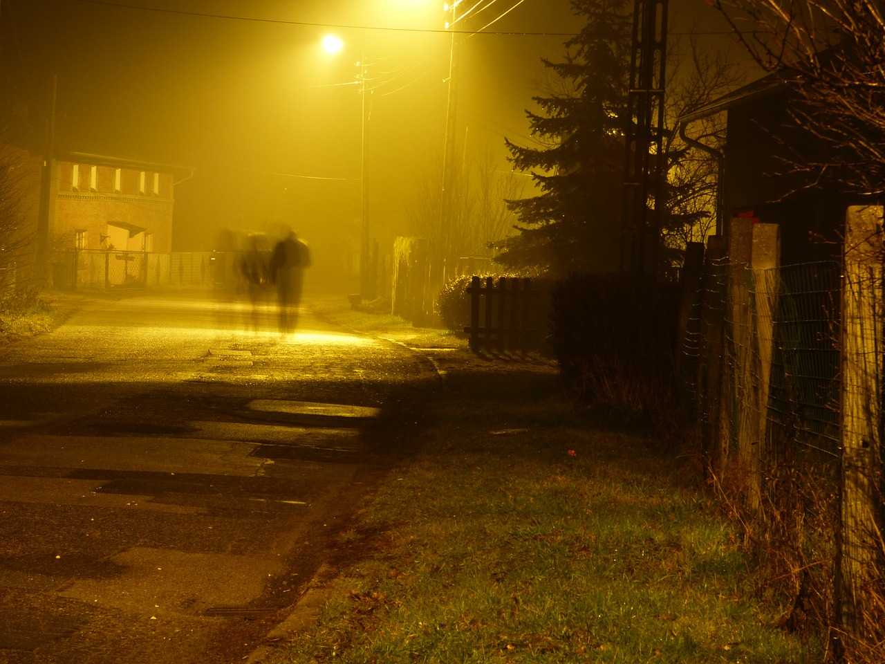 night street lantern free photo